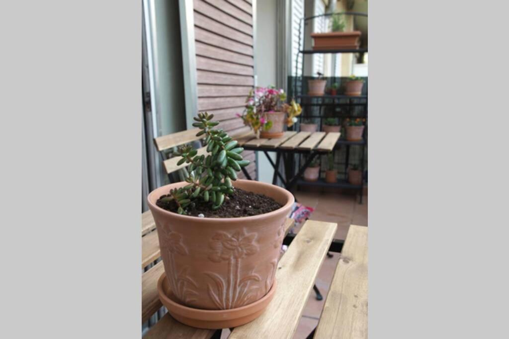 Katerinas Apartment 干尼亞 外观 照片